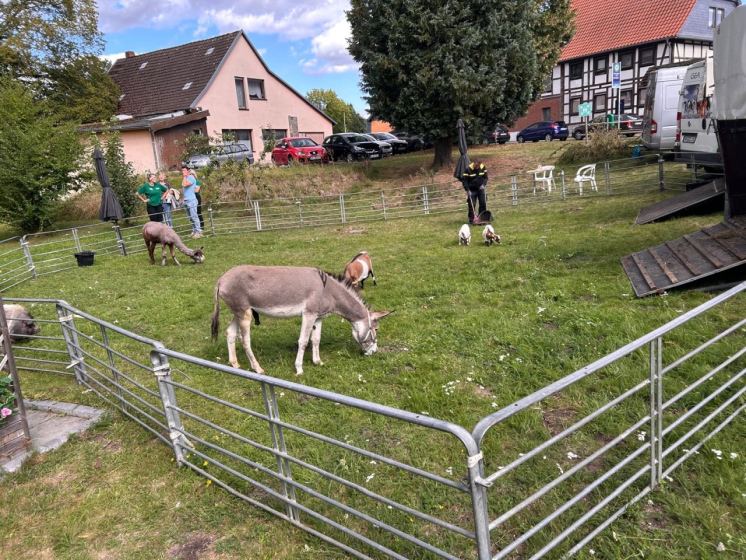 Sommerfest (1)